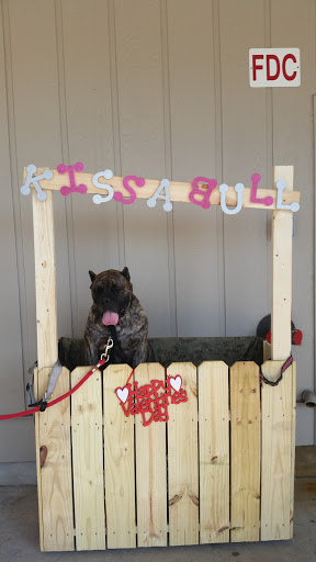 Pet Store «Unleashed», reviews and photos, 2460 Wycliff Rd, Raleigh, NC 27607, USA