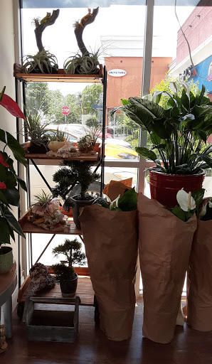 Florist «Market Garden Floral Co», reviews and photos, 1418 N Semoran Blvd #130, Orlando, FL 32807, USA