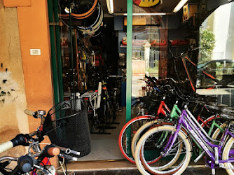 Mudi Bike - Centro Riparazione Vendita Biciclette