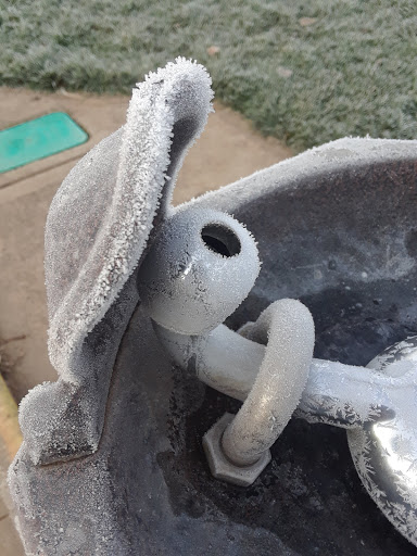 Park «Orchard Park», reviews and photos, 20900 NW Amberwood Dr, Hillsboro, OR 97124, USA