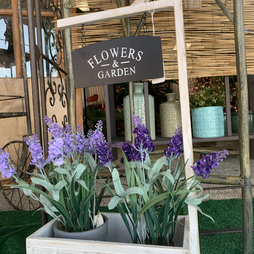 Florist «Four Seasons Flowers & Gifts», reviews and photos, 6630 W Cactus Rd b104, Glendale, AZ 85304, USA