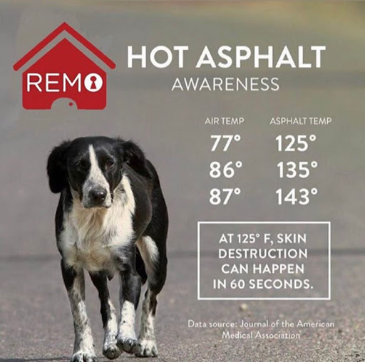 Real Estate Agency «Remo The Realtor», reviews and photos