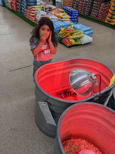 Hardware Store «True Value Hardware Store», reviews and photos, 501 Bastrop Hwy, Austin, TX 78741, USA