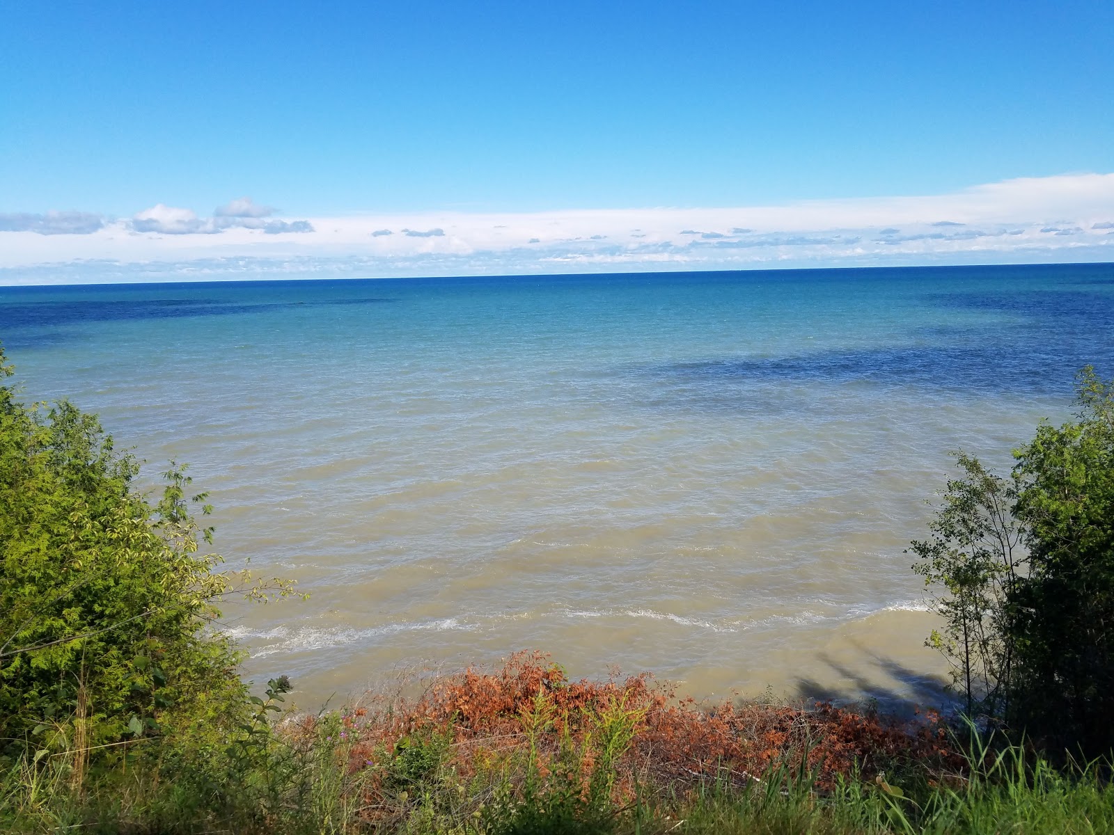 Foto di White Rock Roadside Beach con molto pulita livello di pulizia