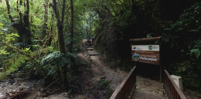 Opiniones de Podocarpus National Park en Loja - Camping