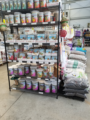 Grocery Store «Horrocks Market», reviews and photos, 4455 Breton Rd SE, Kentwood, MI 49508, USA