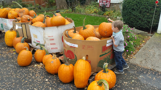 Produce Market «Maiers Homestead Farm Market», reviews and photos, 5672 E Avon Lima Rd, Avon, NY 14414, USA