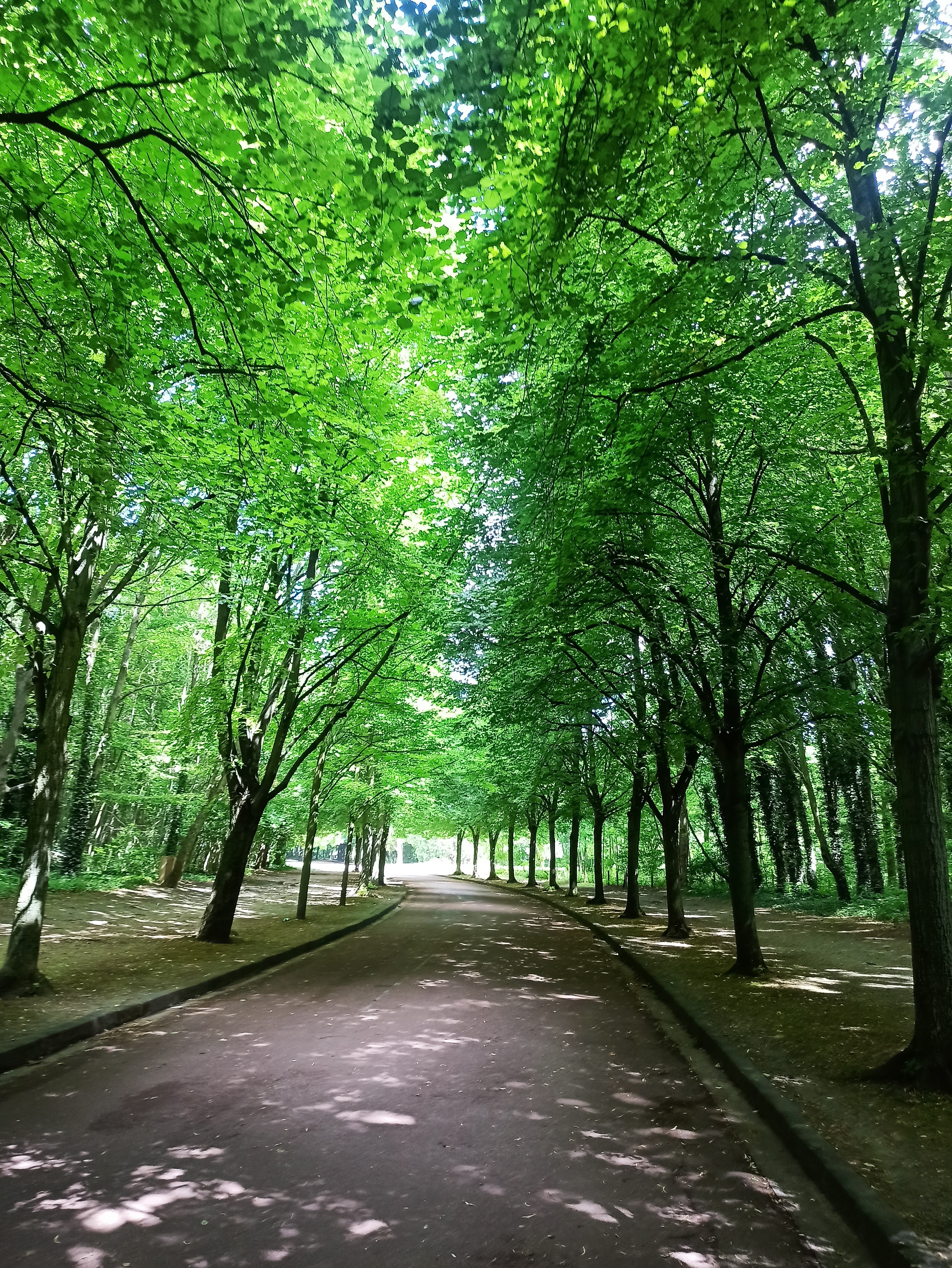 Photo n° 3 de l'avis de NOUR-EDDINE.A fait le 30/06/2022 à 22:03