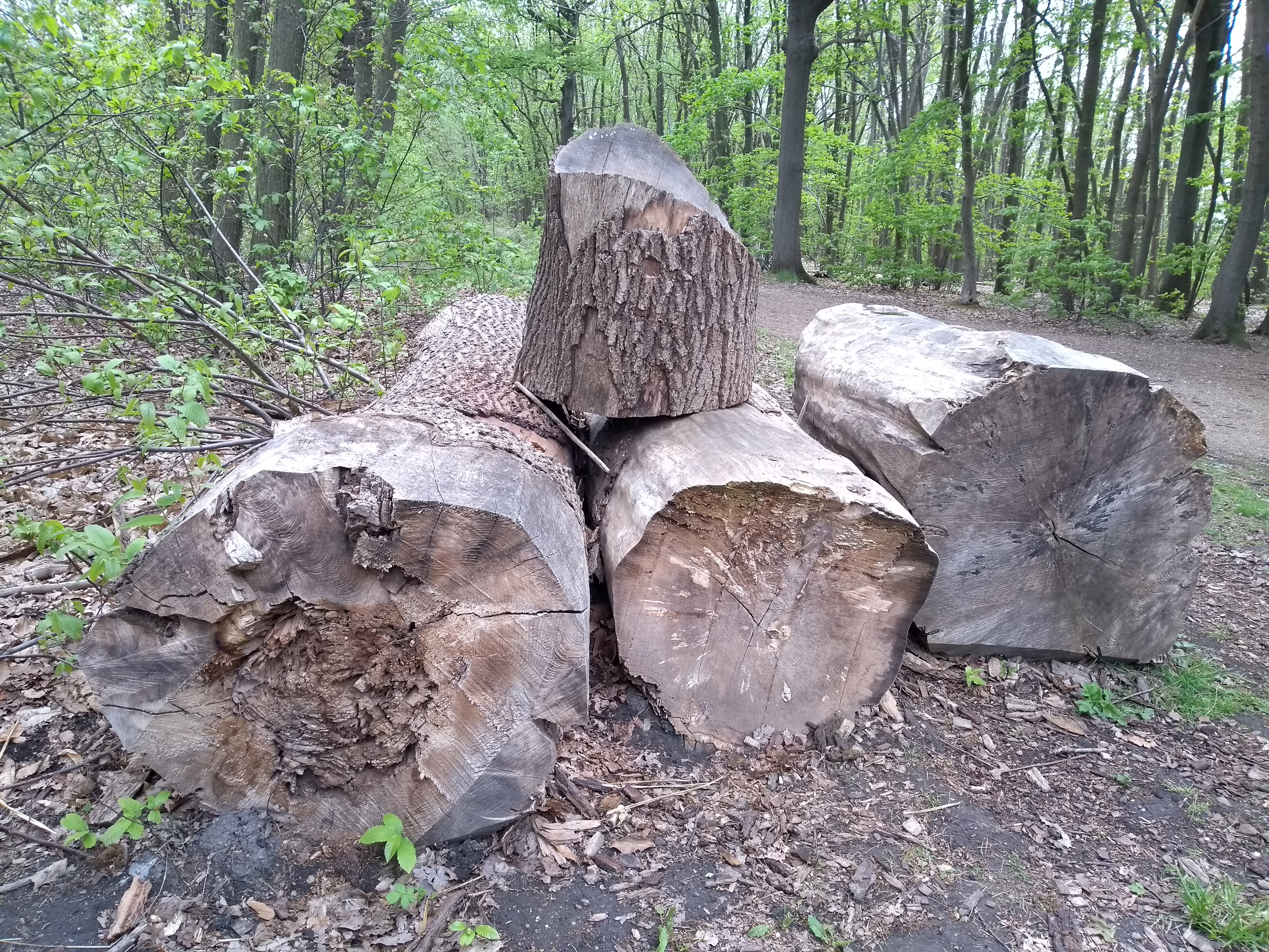 Photo n° 5 de l'avis de Martial.O fait le 05/05/2019 à 19:03