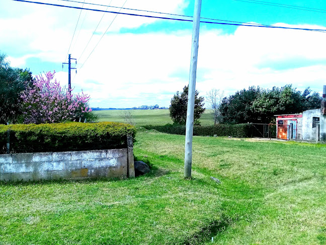 Opiniones de Departamento de Florida en José Pedro Varela - Floristería