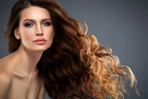 H.E.A.T HAIR EXTENSIONS image