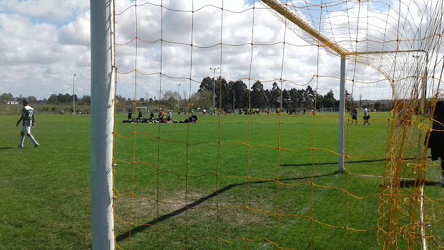 Comentarios y opiniones de Cancha los Horneros