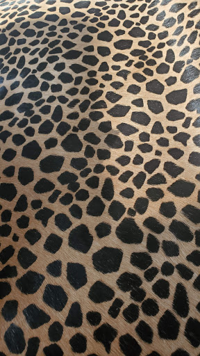 Craft Store «Tandy Leather Raleigh-148», reviews and photos, 6514 Old Wake Forest Rd #130, Raleigh, NC 27616, USA