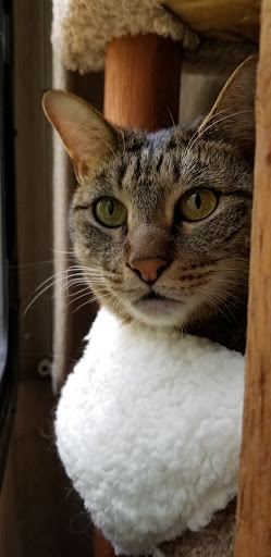 Pet Supply Store «Bay State Pet & Garden Supply», reviews and photos, 429 Winthrop St, Taunton, MA 02780, USA