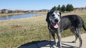 Blackhawk Park - photo 15
