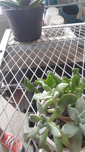 Home Improvement Store «The Home Depot», reviews and photos, 1789 Sidney Baker St, Kerrville, TX 78028, USA