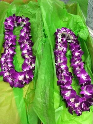 Florist «Flowermart Florist», reviews and photos, 185 E Indiantown Rd #221, Jupiter, FL 33477, USA