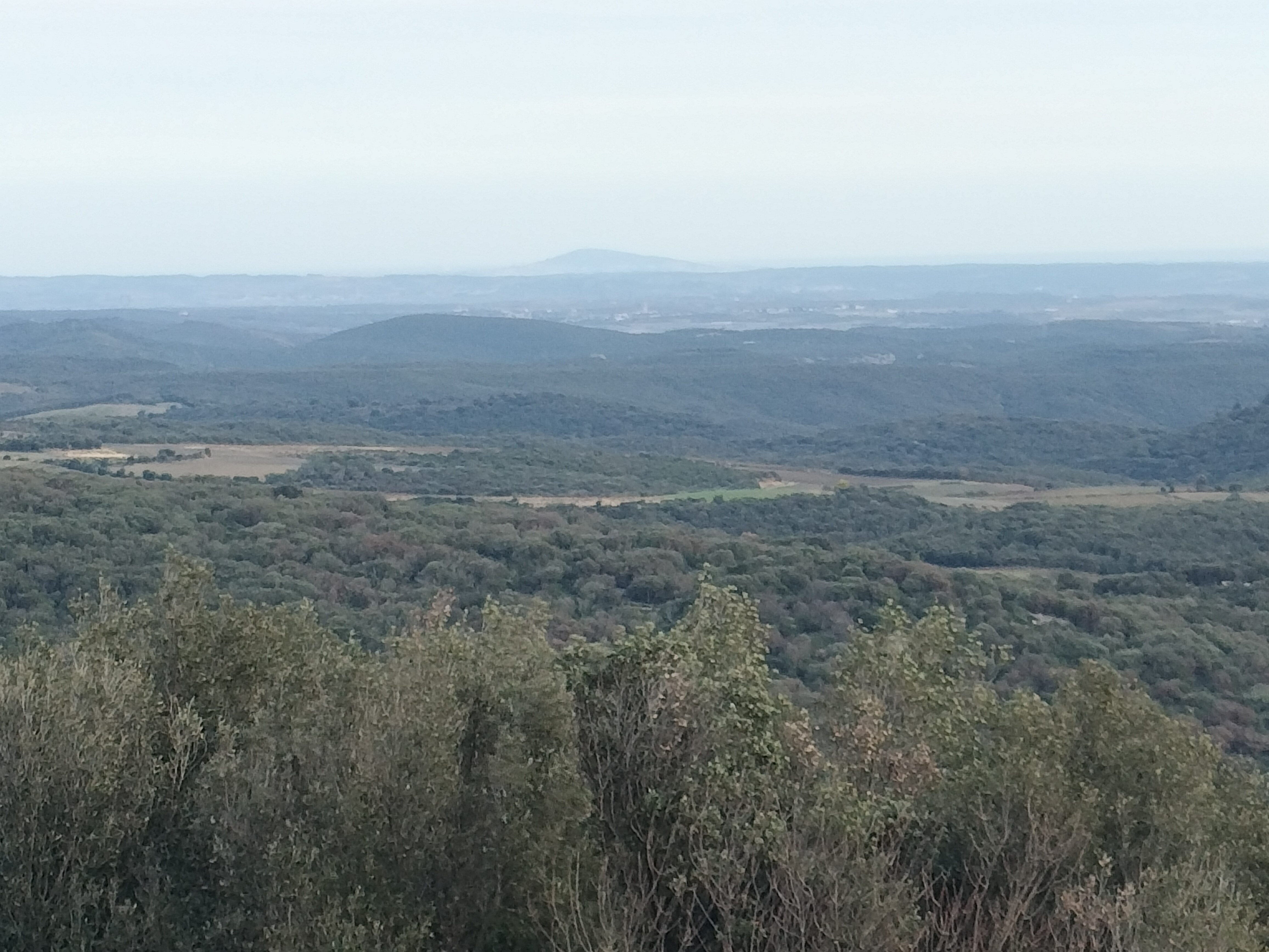 Photo n° 3 de l'avis de Scoccia.i fait le 06/02/2024 à 17:07