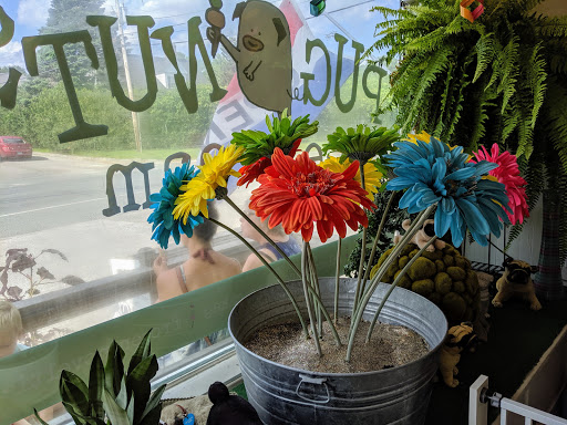 Ice Cream Shop «Pugnuts Ice Cream Shop», reviews and photos, 1276 ME-172, Surry, ME 04684, USA