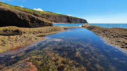 Fleswick Bay Beach'in fotoğrafı doğal alan içinde bulunmaktadır