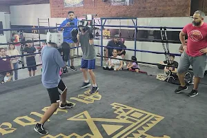 Texas Hard Hitters Boxing Club Powered By Movida image