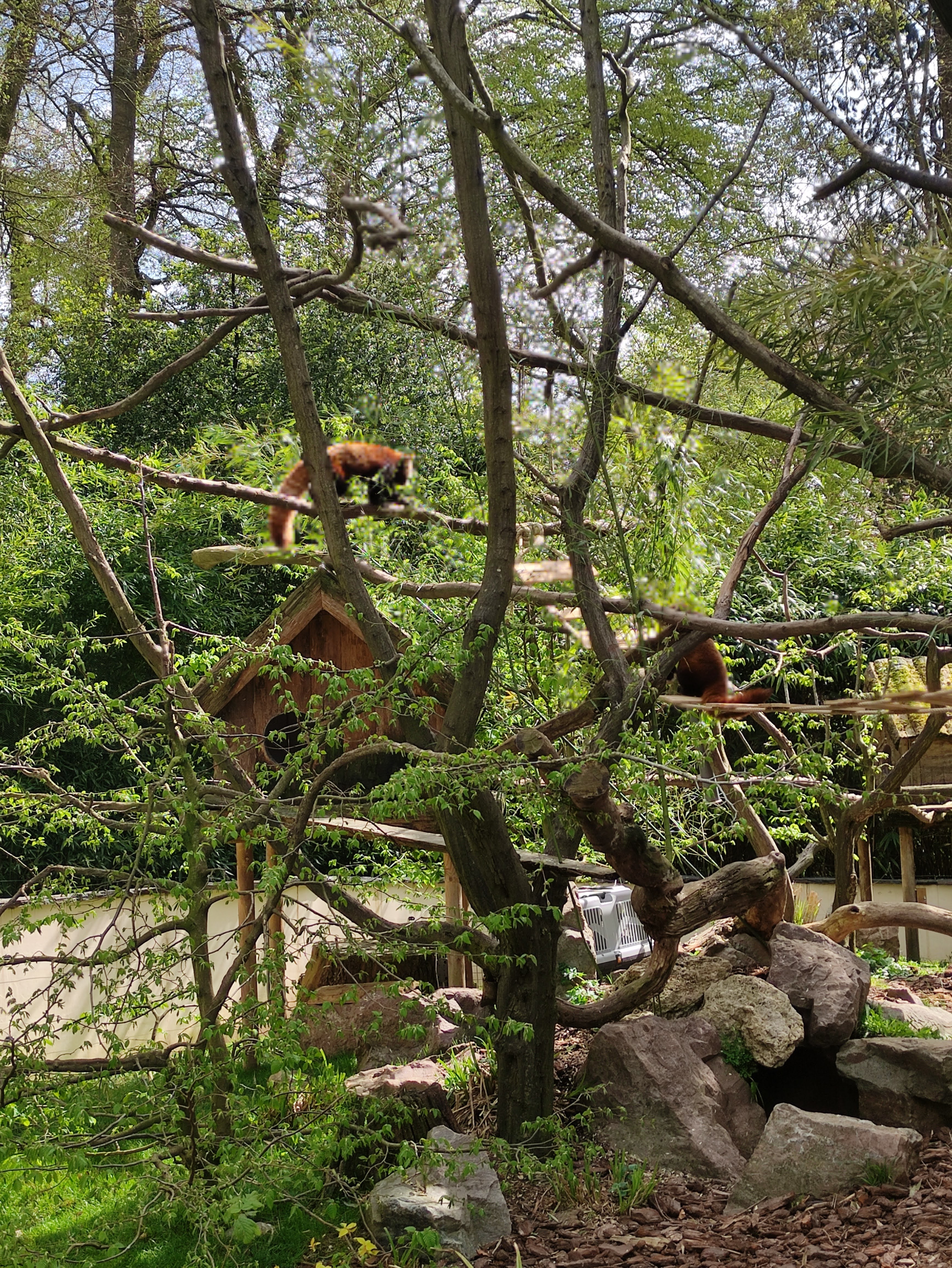 Photo n° 2 de l'avis de mathilde.a fait le 25/04/2023 à 18:21