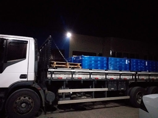 Logo da empresa - Prodocimo Transportes