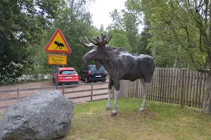 Grönåsens Älgpark image