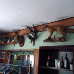 Photo n°38 de l'avis de Mauro.o fait le 24/02/2019 à 19:18 sur le  Ristorante Delle Alpi à Mattie