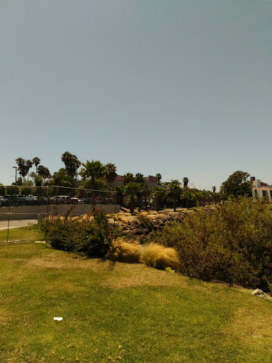 Park «Harry Bridges Memorial Park», reviews and photos, 1126 Queens Hwy, Long Beach, CA 90802, USA