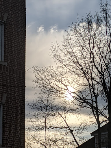 Supermarket «The Harrison Market», reviews and photos, 355 Halstead Ave, Harrison, NY 10528, USA