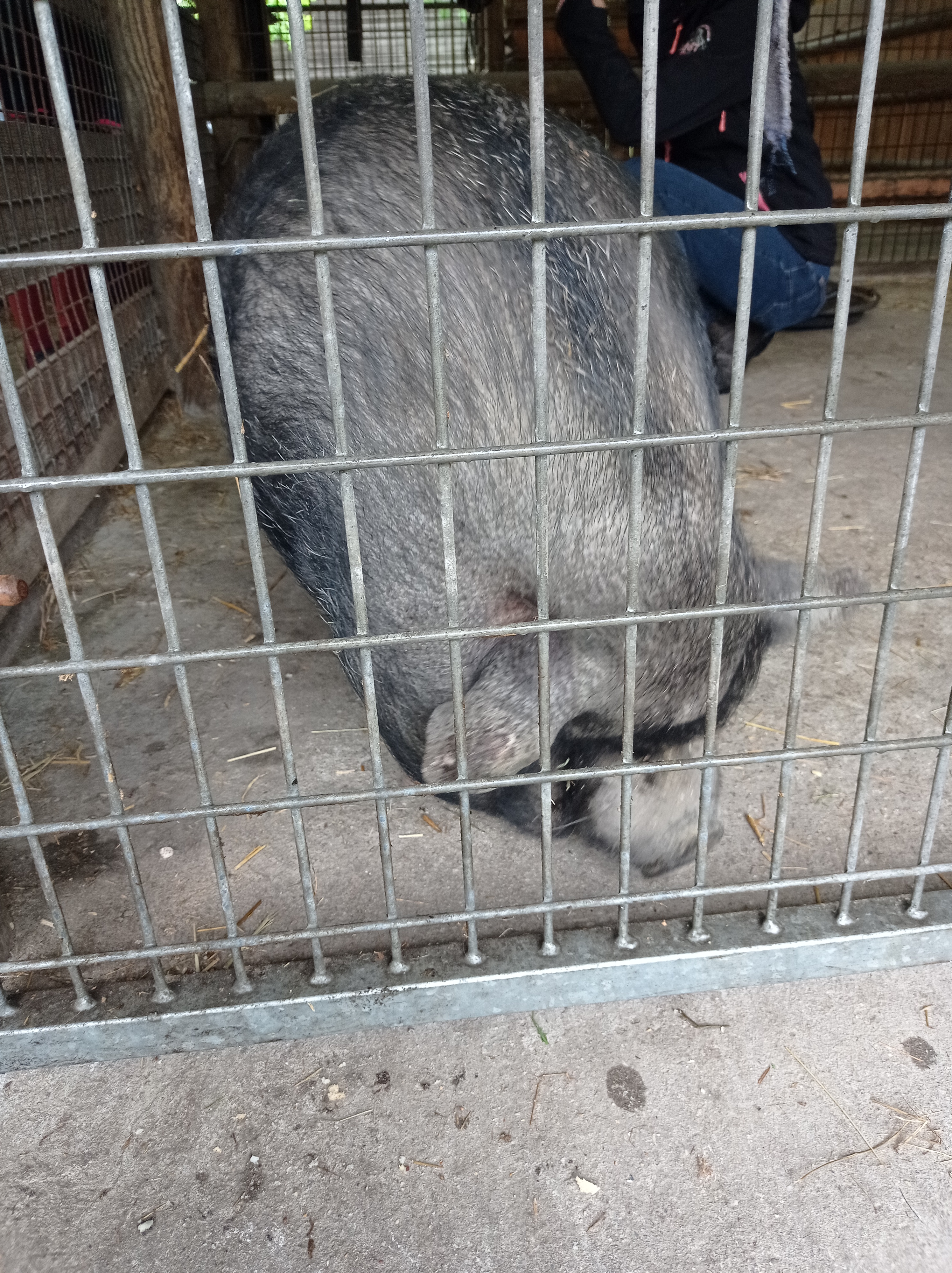 Photo n° 2 de l'avis de angélique.a fait le 09/05/2023 à 13:06