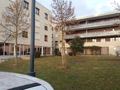 Dr Zribi Chakib à Besançon