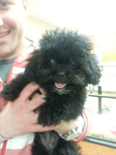 Pet Supply Store «Just Pets», reviews and photos, 8874 Maximus Dr, Lone Tree, CO 80124, USA