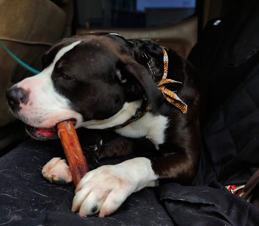 Pet Supply Store «The Animal Park Marketplace», reviews and photos, 744 W Riverdale Rd, Riverdale, UT 84405, USA