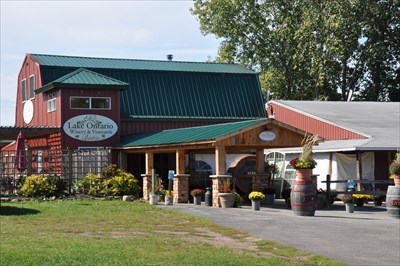 Wine Store «Lake Ontario Winery & Vineyards», reviews and photos, 1593 Hamlin Parma Townline Rd, Hilton, NY 14468, USA