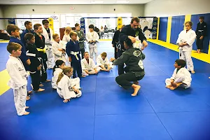Absolute Jiu-Jitsu Academy image