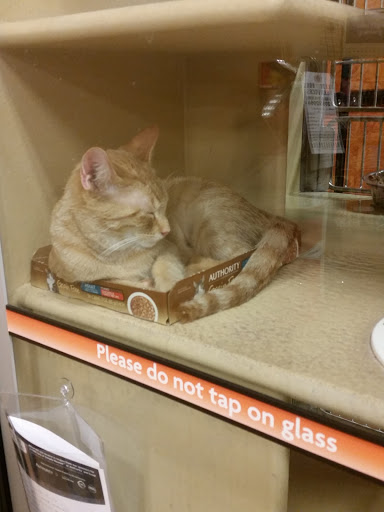 Pet Supply Store «PetSmart», reviews and photos, 122 Dunes Plaza, Michigan City, IN 46360, USA