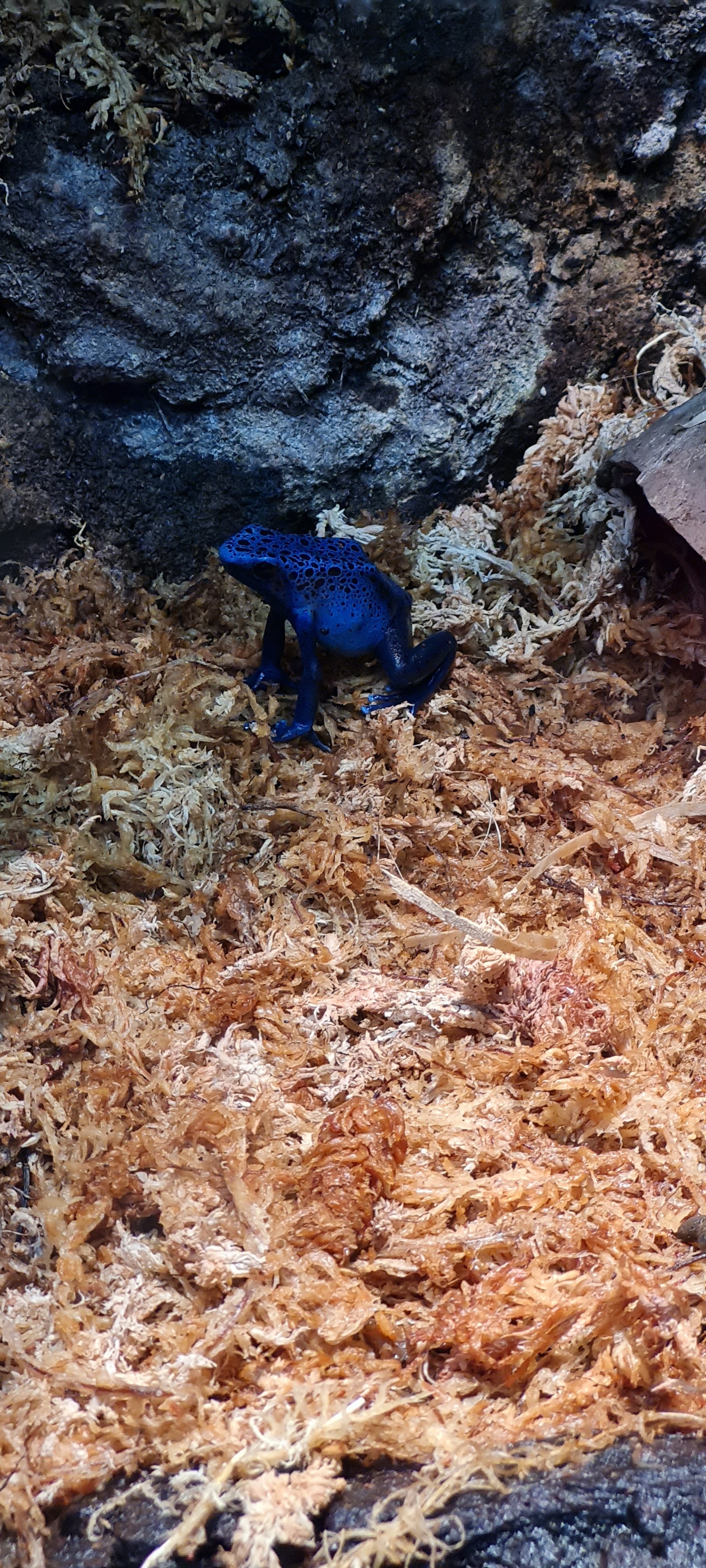 Photo n° 8 de l'avis de Laura.o fait le 16/02/2023 à 09:45