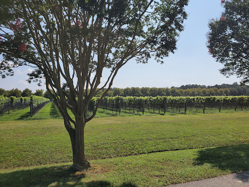 Winery «Williamsburg Winery, Ltd.», reviews and photos, 5800 Wessex Hundred, Williamsburg, VA 23185, USA