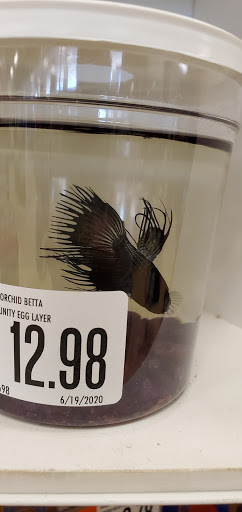 Pet Supply Store «Pet Supplies Plus», reviews and photos, 410 Springfield Ave, Berkeley Heights, NJ 07922, USA