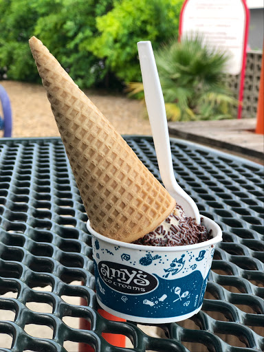 Amy's Ice Creams