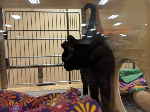 Pet Supply Store «PetSmart», reviews and photos, 1921 Gulf Fwy S, Dickinson, TX 77539, USA