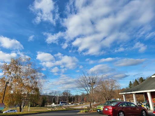 Florist «Petals & Paws», reviews and photos, 465 Albany Turnpike, Canton, CT 06019, USA