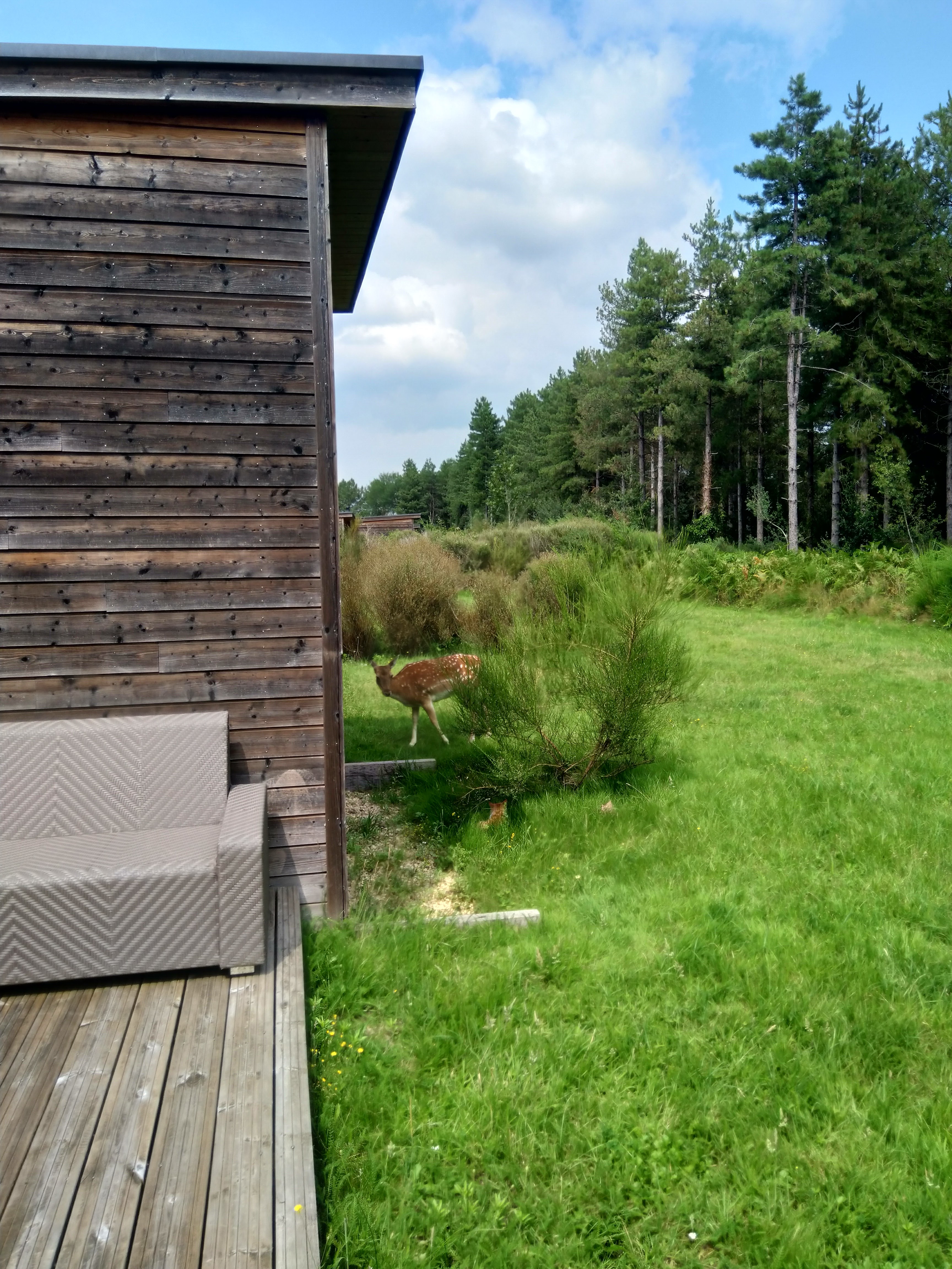 Photo n° 12 de l'avis de Jean-Marc.O fait le 27/07/2021 à 14:42