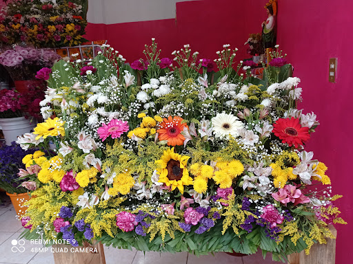 Florería Mérida – Huejutla de Reyes