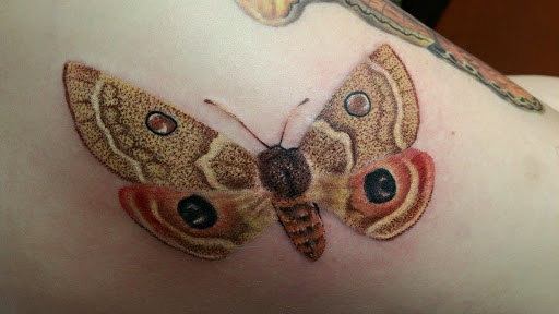 Explore fighting rooster tattoo ideas, creative tattoo ideas in San Marcos, available at One & Only Tattoo