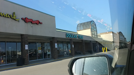 Dollar Store «Dollar Tree», reviews and photos, 8766 W Dempster St, Niles, IL 60714, USA