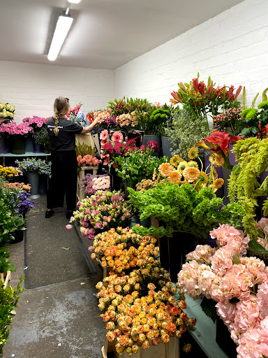 Florist schools Belfast