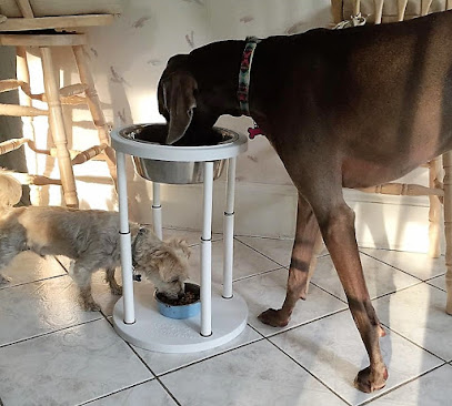 Perfect Fit Feeder